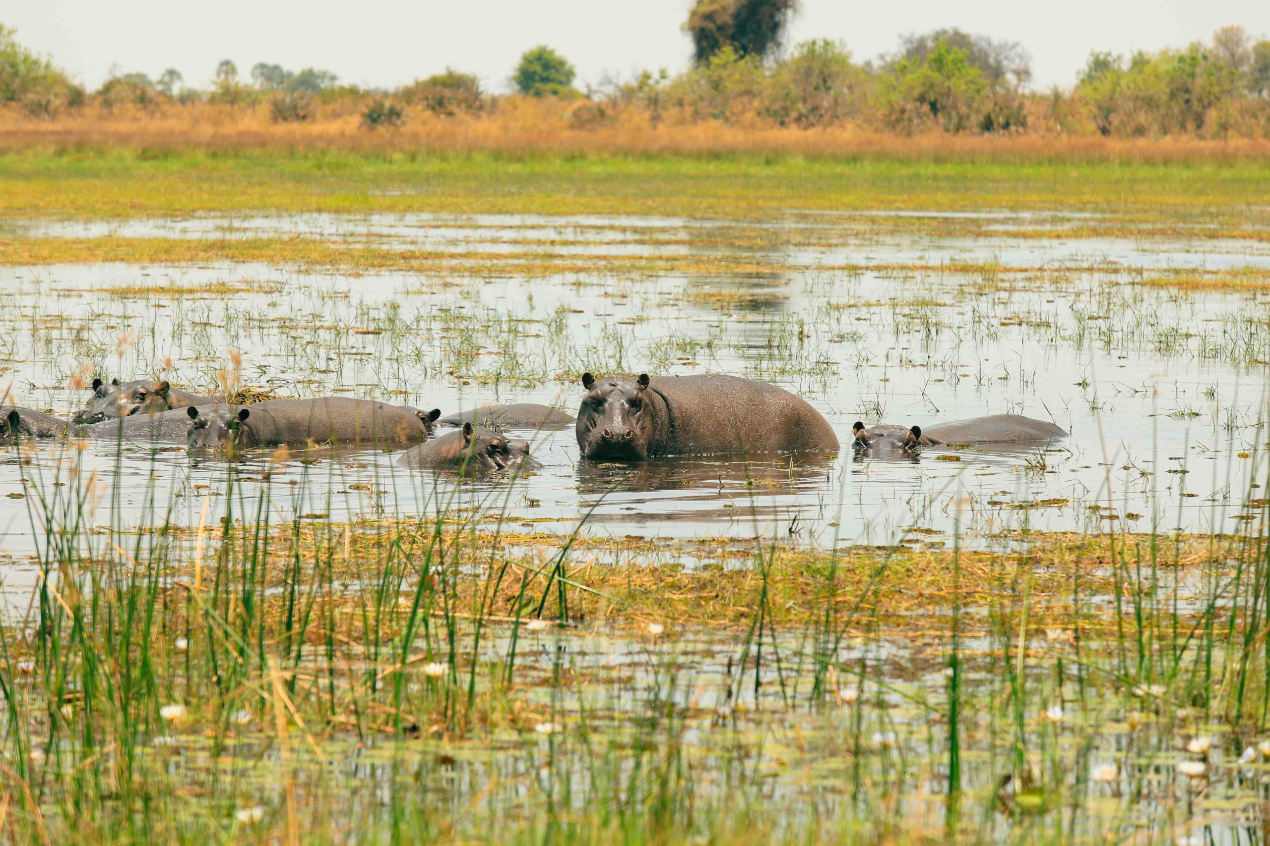 Nyerere National Park
