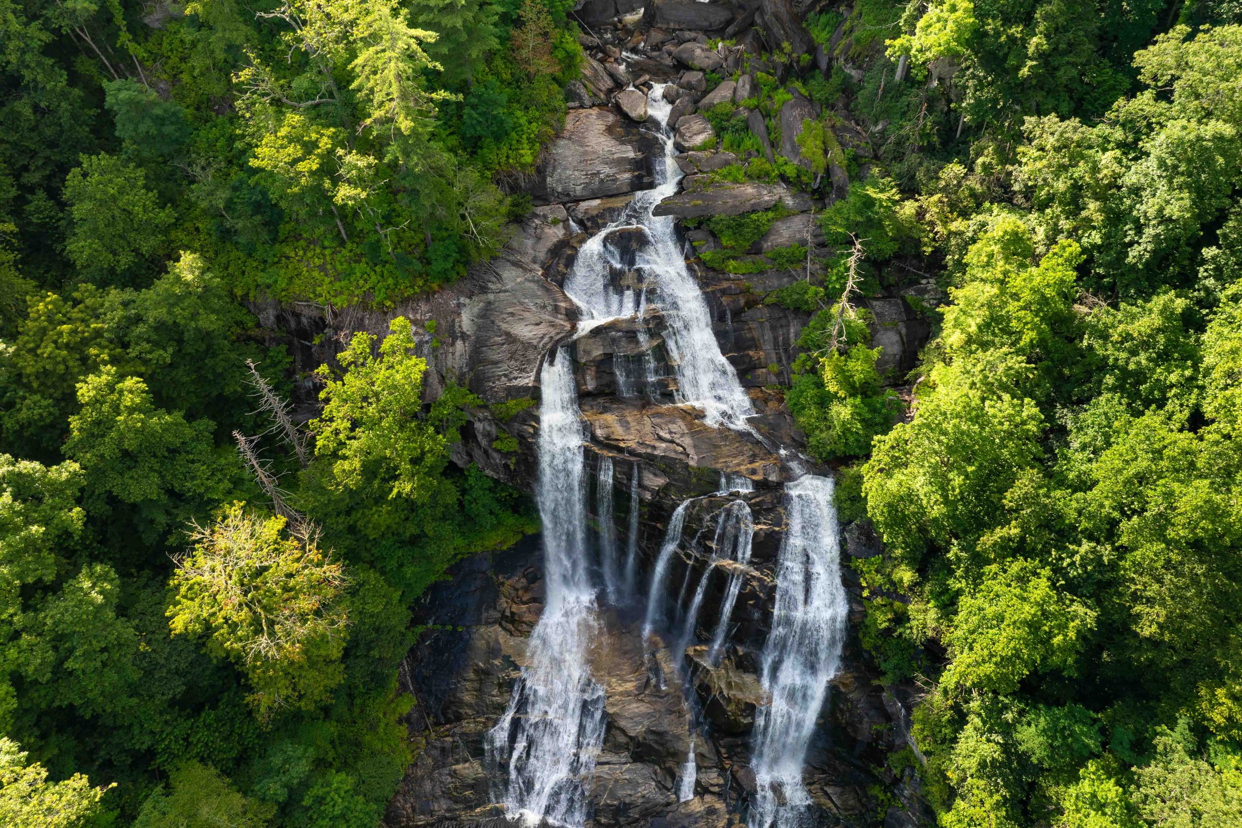 Udzungwa Mountains National Park
