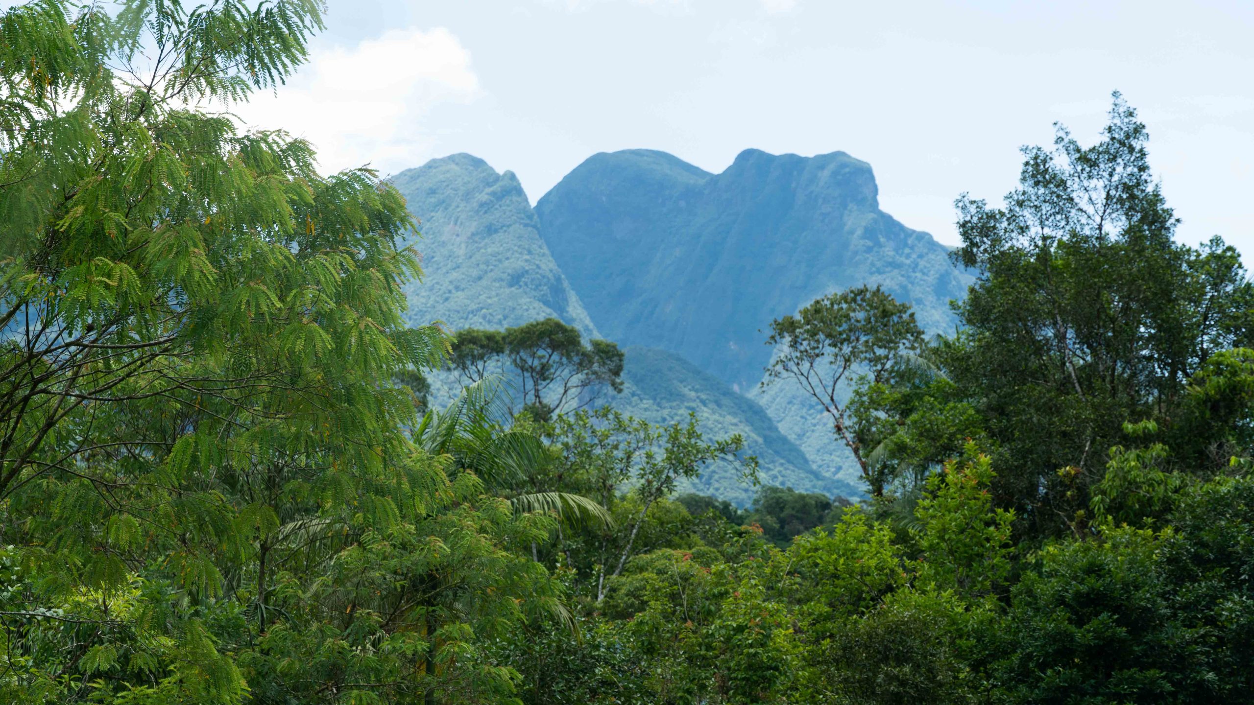 Usambara Mountains